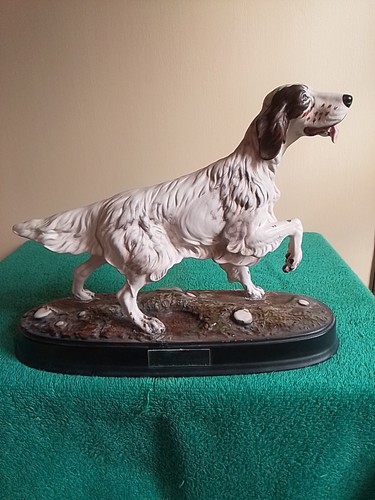 Large beswick setter dog - large,